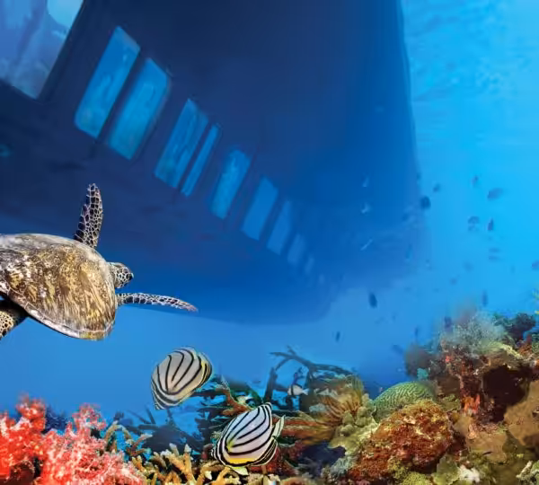 Seascope Submarine in Hurghada