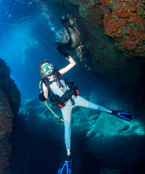 Diving Tourism