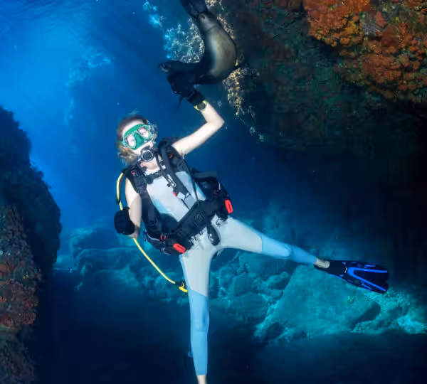 عطلات الغوص في مصر