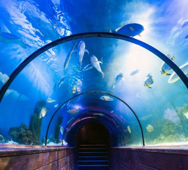 Aquarium Hurghada
