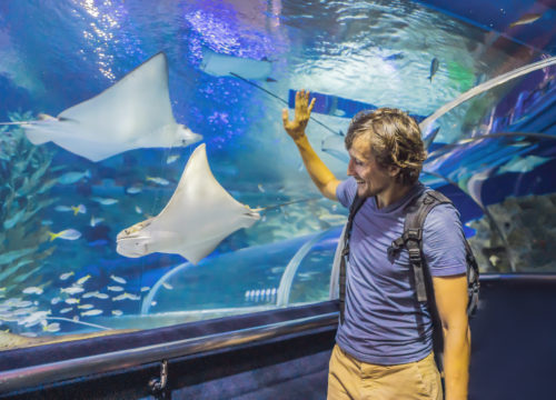 Aquarium Hurghada
