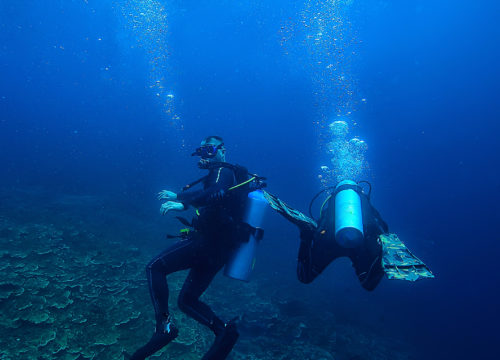Diving in Hurghada