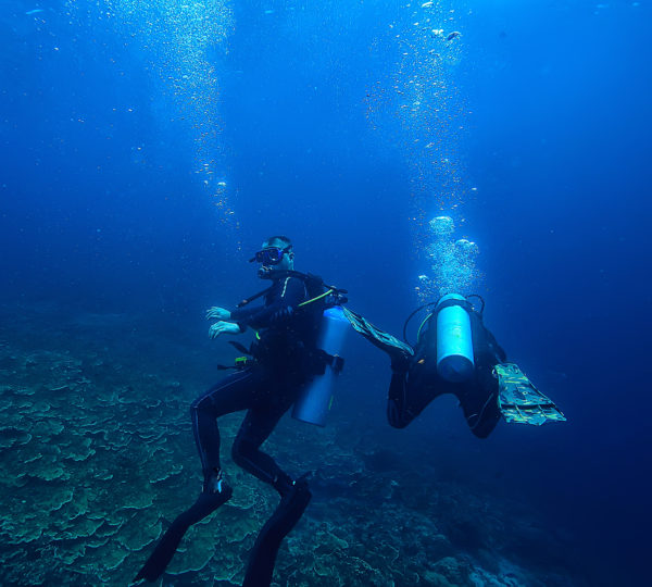 Sharm El Sheikh Diving