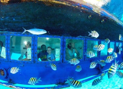 Paradise submarine in Hurghada