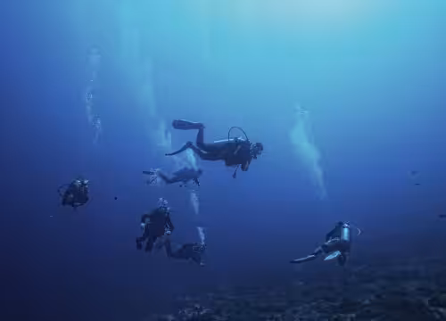 Sharm El Sheikh Diving