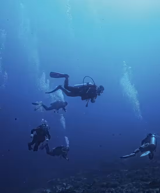 Sharm El Sheikh Diving