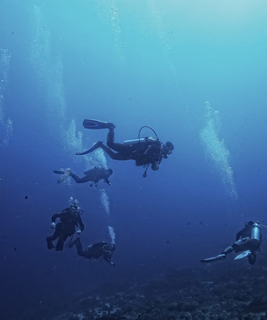 Sharm El Sheikh Diving