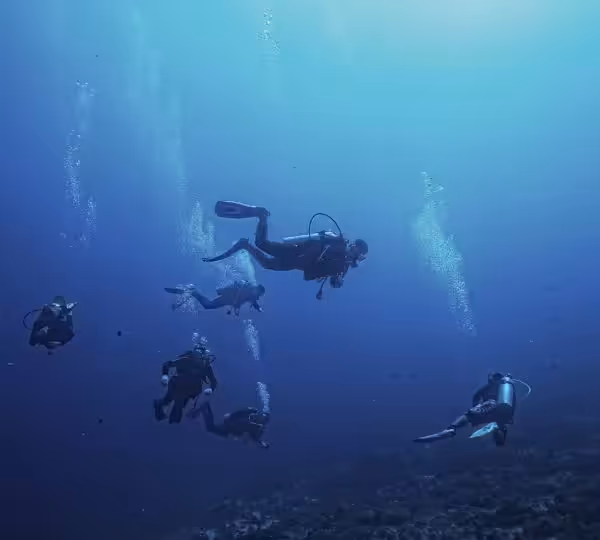 Egypt Snorkeling Packages