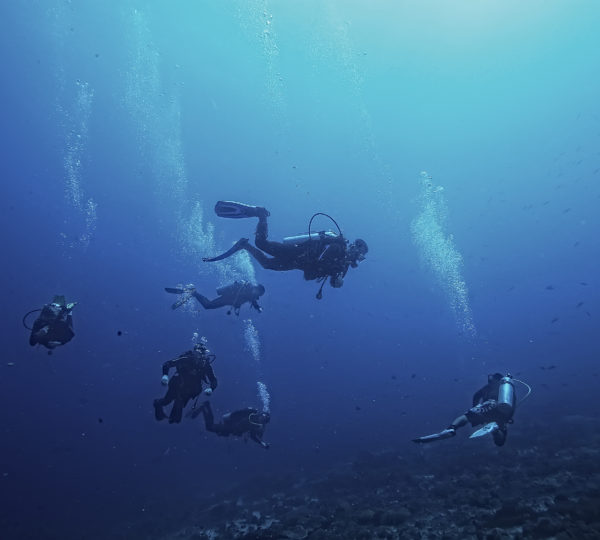 Diving Tourism