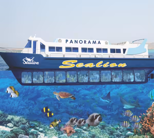 Egypt Snorkeling Packages
