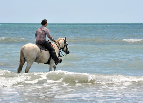 Horse riding in Hurghada