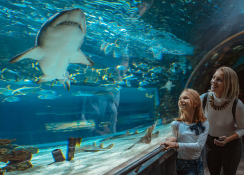Aquarium Hurghada