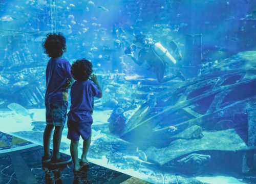 Aquarium Hurghada