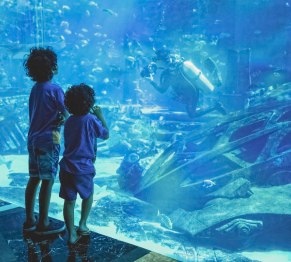 Aquarium Hurghada