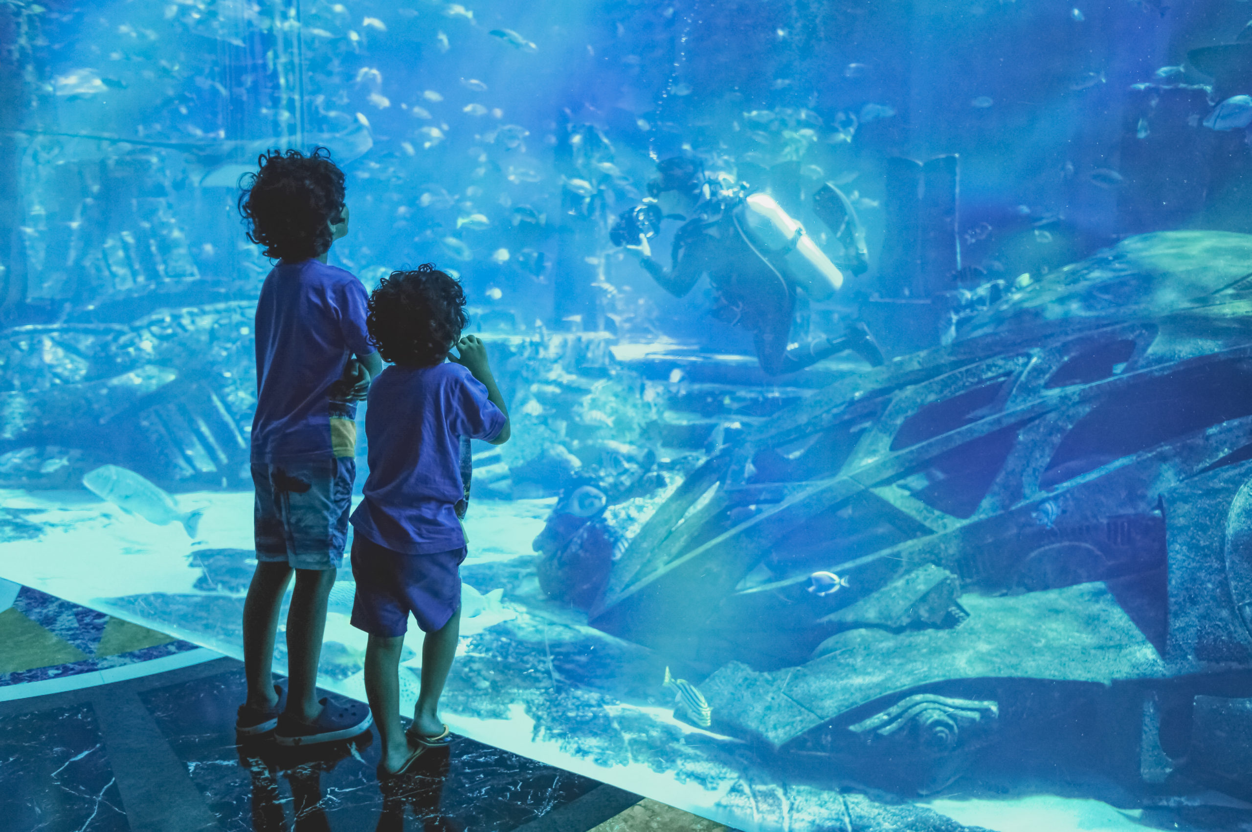 Aquarium Hurghada