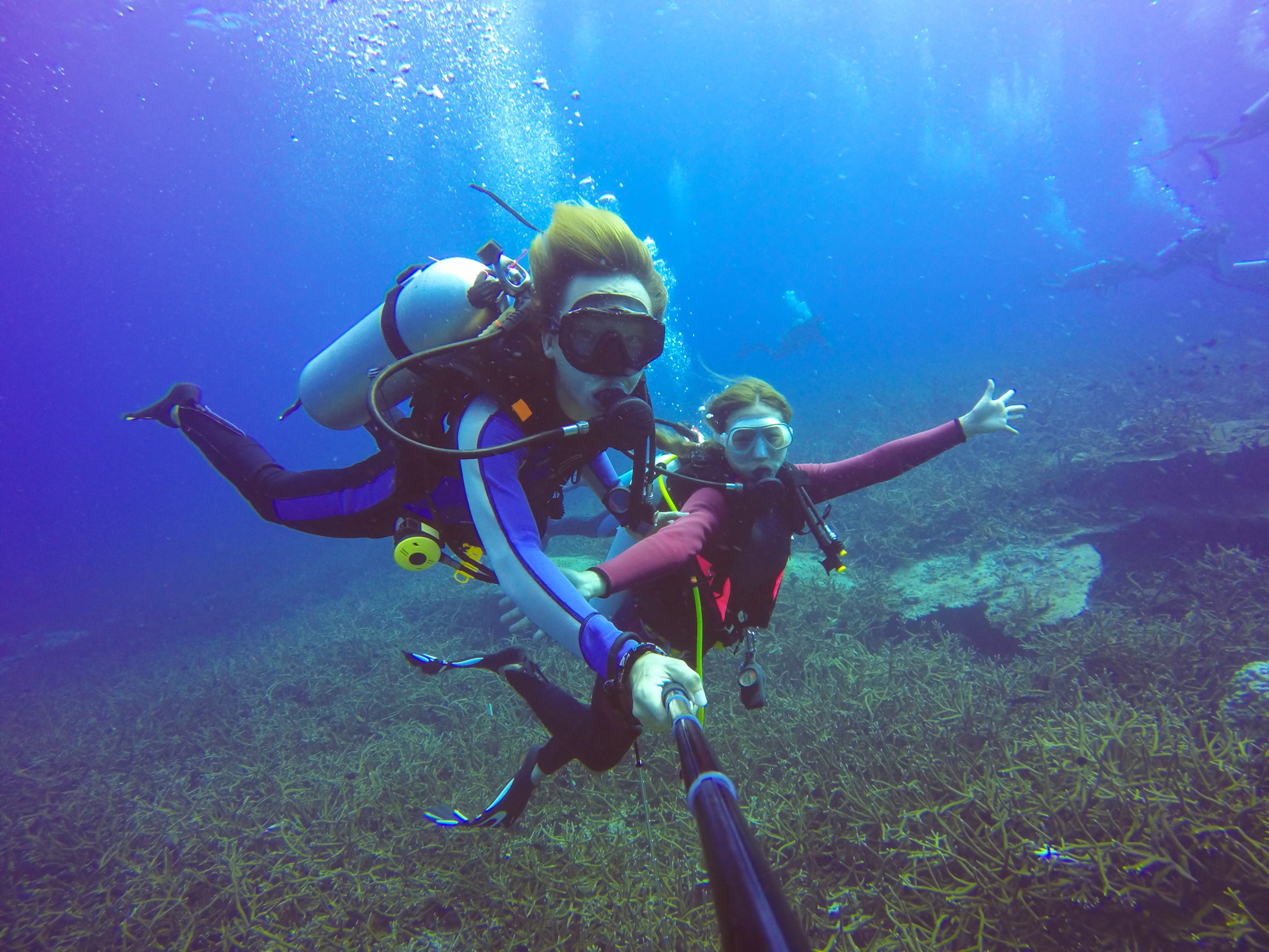 Diving in Hurghada