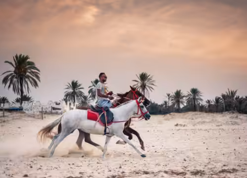 Horse riding in Hurghada
