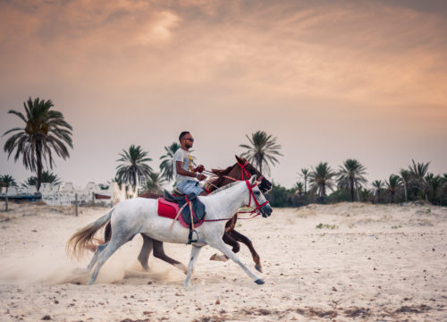 Horse riding in Hurghada
