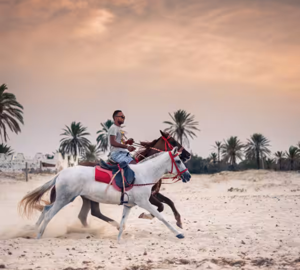 Horse Riding Egyp