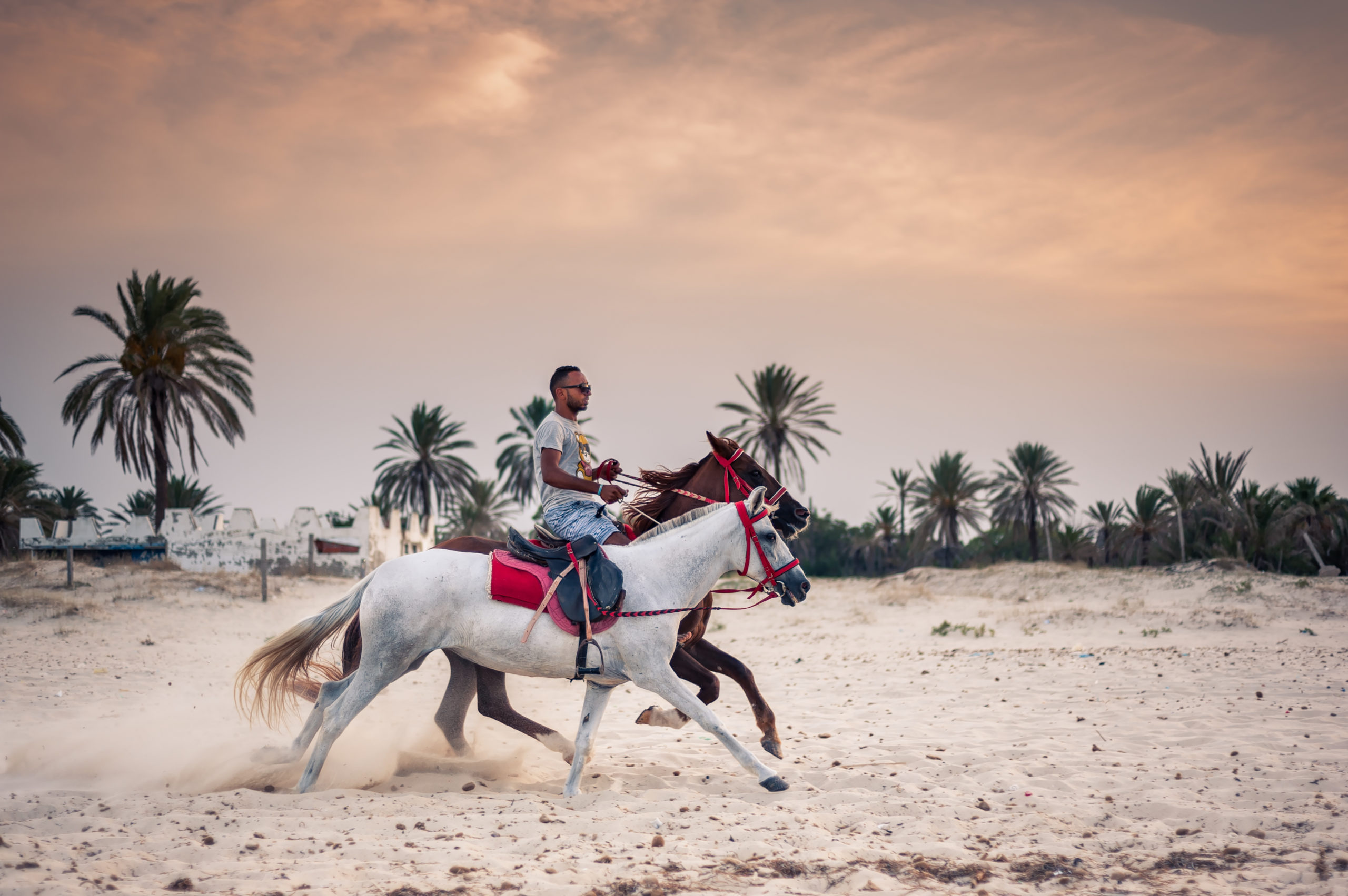 Horse riding in Hurghada