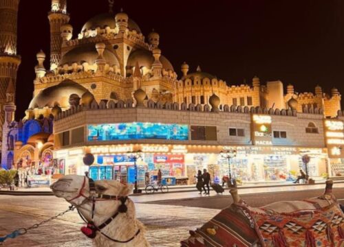 Egyptian Tourism Guide