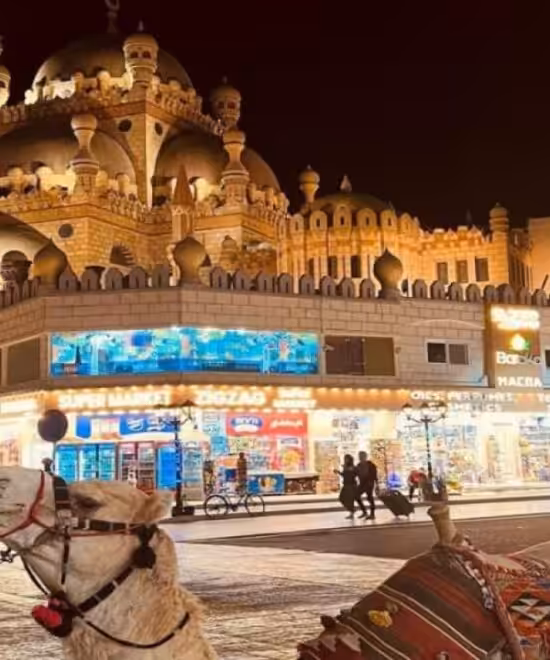 Egyptian Tourism Guide