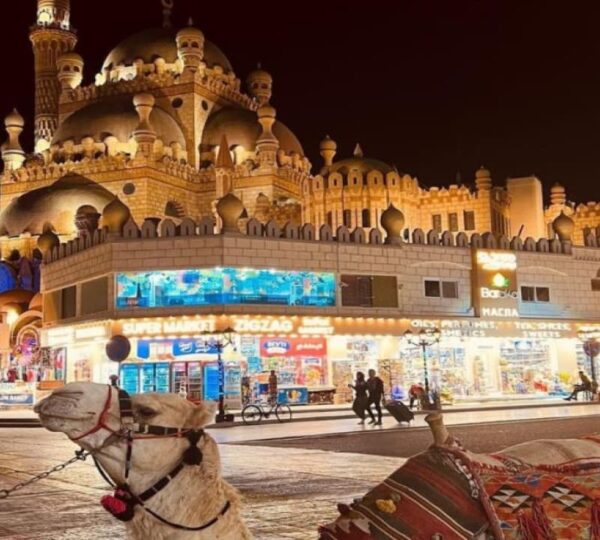 Sharm El Sheikh Tours