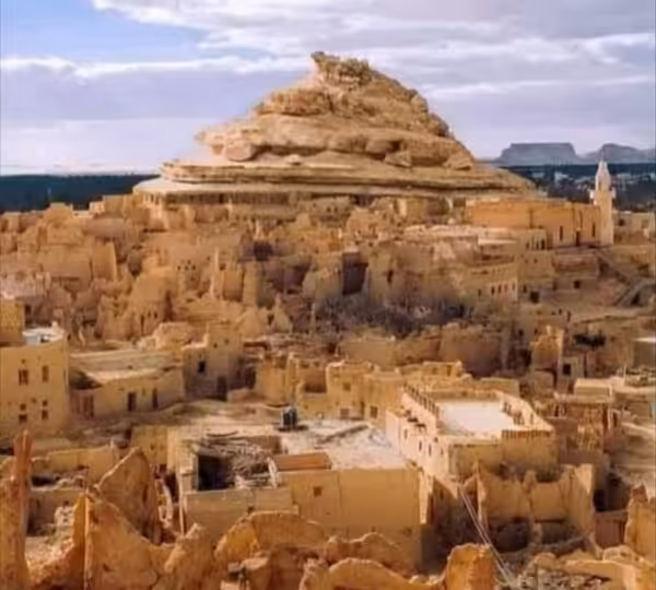Siwa Oasis Trips