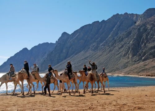 Egypt excursion