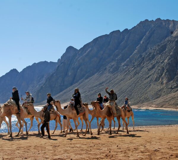 Sharm family tours