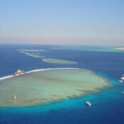 Tiran Island tours