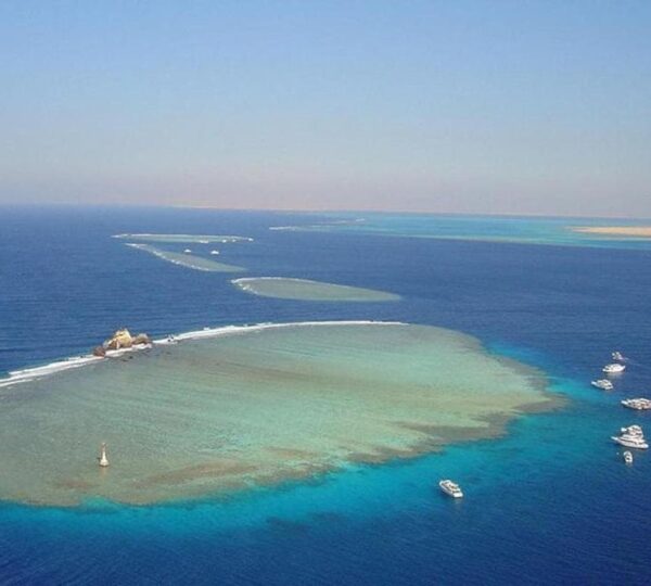 Tiran Island Tours A Complete Guide to the Best Red Sea Boat Trips

Tiran Island is one of the most beautiful marine destinations near Sharm El Sheikh, famous for its crystal clear waters, colorful coral reefs, and rich marine life. Located at the entrance of the Gulf of Aqaba, this island is surrounded by some of the best snorkeling and diving spots in the Red Sea.

Choosing Tiran Island tours is the perfect way to explore this natural paradise while enjoying a relaxing and well organized experience. Whether you are looking for snorkeling, diving, or simply a peaceful boat trip, Tiran Island tours offer something for everyone.

What Are Tiran Island Tours

Tiran Island tours are guided boat excursions from Sharm El Sheikh to the waters surrounding Tiran Island. Since the island itself is restricted, all activities during Tiran Island tours take place in the surrounding البحر areas, where coral reefs and marine الحياة thrive.

Most Tiran Island tours include hotel pickup, boat transportation, snorkeling stops, and a guide to assist you throughout the trip.

Why Choose Tiran Island Tours

There are many reasons why travelers choose Tiran Island tours. First, Tiran Island tours provide access to some of the most beautiful coral reefs in the Red Sea. Second, Tiran Island tours are suitable for all experience levels, including beginners. Third, Tiran Island tours combine relaxation and adventure in one trip.

The area is known for its clear waters and rich marine biodiversity, making Tiran Island tours one of the top excursions in Sharm El Sheikh.

What to Expect During Tiran Island Tours

When booking Tiran Island tours, your day usually starts with hotel pickup followed by transfer to the marina. From there, you board a yacht and begin your رحلة across the Red Sea.

Most Tiran Island tours last around 7 to 9 hours and include a scenic cruise along the Gulf of Aqaba.

During the trip, you will stop at several snorkeling sites where you can swim and explore coral reefs. Many tours include 2 to 3 snorkeling stops, giving you enough time to enjoy the underwater world.

Between activities, you can relax on the boat, enjoy the sun, and have lunch and drinks provided onboard.

Best Activities in Tiran Island Tours

One of the highlights of Tiran Island tours is snorkeling. The reefs around the island are full of colorful fish, coral formations, and sometimes larger marine species like turtles or rays.

Diving is also available on many Tiran Island tours, either for certified divers or beginners who want to try an introductory dive.

In addition, many travelers enjoy sunbathing, swimming, and relaxing on the yacht during Tiran Island tours, making it a perfect mix of activity and отдых.

Types of Tiran Island Tours

There are different types of Tiran Island tours available depending on your preferences.

Group Tours

Group Tiran Island tours are the most common and affordable option. You share the boat with other travelers and enjoy a social atmosphere.

Private Tours

Private Tiran Island tours offer a more exclusive experience with your own boat and guide. These are ideal for couples or families looking for privacy.

Luxury Tours

Luxury Tiran Island tours provide premium services such as high end yachts, gourmet meals, and smaller groups for a more comfortable experience.

Best Time for Tiran Island Tours

The best time to enjoy Tiran Island tours is during spring and autumn when the weather is warm but comfortable. However, tours are available all year round thanks to the stable climate of Sharm El Sheikh.

Morning departures are usually preferred, as the sea is calmer and visibility underwater is better.

Cost of Tiran Island Tours

Prices for Tiran Island tours vary depending on the type of tour and services included.

Budget group tours: around $30 to $50 per person
Standard boat tours: around £26 to £33
Luxury tours: higher depending on services

These prices make Tiran Island tours accessible for different budgets.

Safety in Tiran Island Tours

Safety is well managed during Tiran Island tours. Professional guides and crew members are always present to assist you. Boats are equipped with safety equipment, and beginners receive instructions before snorkeling.

Following safety guidelines ensures that your Tiran Island tours experience is both enjoyable and secure.

Tips for Enjoying Tiran Island Tours

To get the best experience from Tiran Island tours, it is recommended to bring swimwear, sunscreen, sunglasses, and a towel. A waterproof camera is also useful for capturing the beauty of the underwater world.

If you do not have snorkeling equipment, most Tiran Island tours offer rental options or include it in the package.

Why Tiran Island Tours Are Worth It

Many travelers consider Tiran Island tours one of the highlights of their trip to Sharm El Sheikh. The combination of crystal clear water, colorful coral reefs, and relaxing boat trips creates a unique experience.

The area is known for its incredible marine life and scenic beauty, making Tiran Island tours a must do activity for anyone visiting the Red Sea.

Conclusion About Tiran Island Tours

In conclusion, Tiran Island tours offer one of the best ways to explore the natural beauty of the Red Sea. With options for snorkeling, diving, and relaxing boat trips, Tiran Island tours provide a complete and unforgettable experience.

Whether you are looking for adventure or relaxation, choosing Tiran Island tours will give you amazing memories and a deeper appreciation of Sharm El Sheikh’s marine environment.