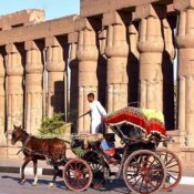 Luxor family tours