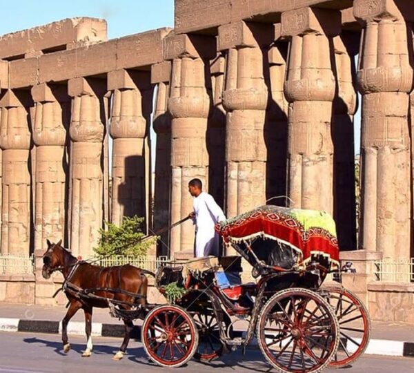 cheap Luxor tours