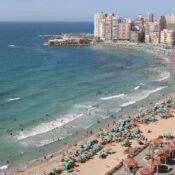 Alexandria beach tours