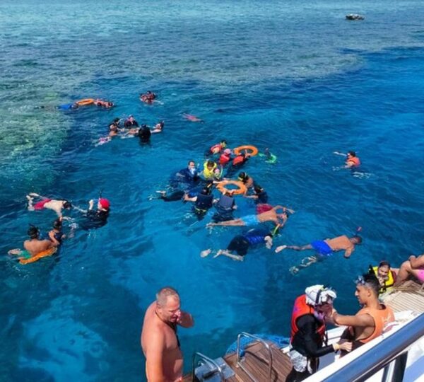 Egypt snorkeling trips
