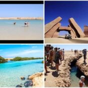 Ras Mohammed tours