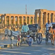 Luxor horse carriage