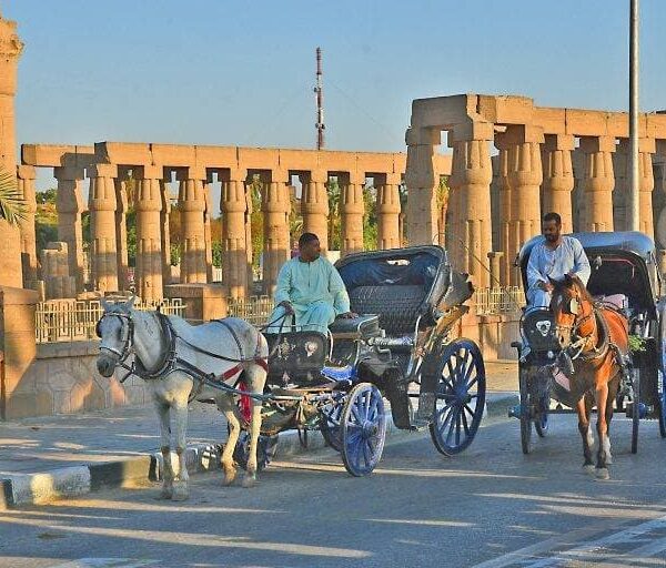 Luxor travel packages