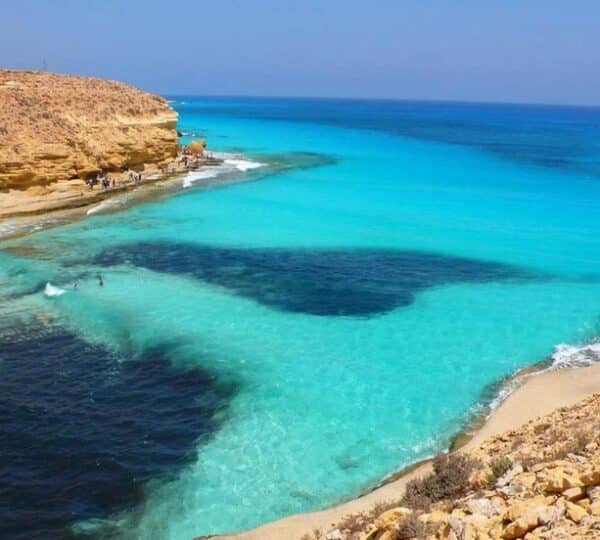 Matrouh transfer services