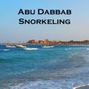 Abu Dabbab snorkeling