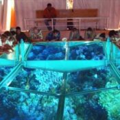 Sharm glass boat