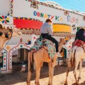 Aswan camel ride