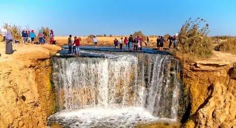 Fayoum oasis tours