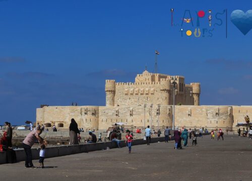 Alexandria excursions