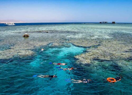 Sharm El Sheikh diving tours