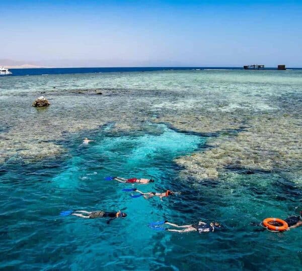 Sharm snorkeling trips