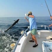 Fishing trips Egypt