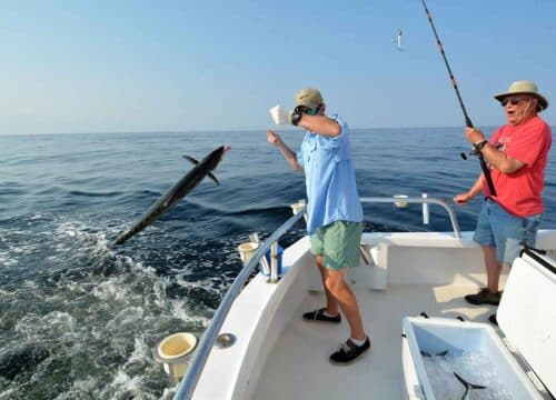 Fishing trips Egypt