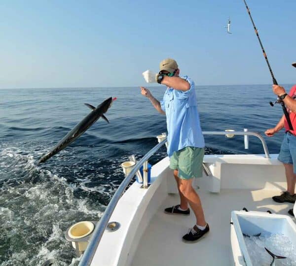 Fishing trips Egypt